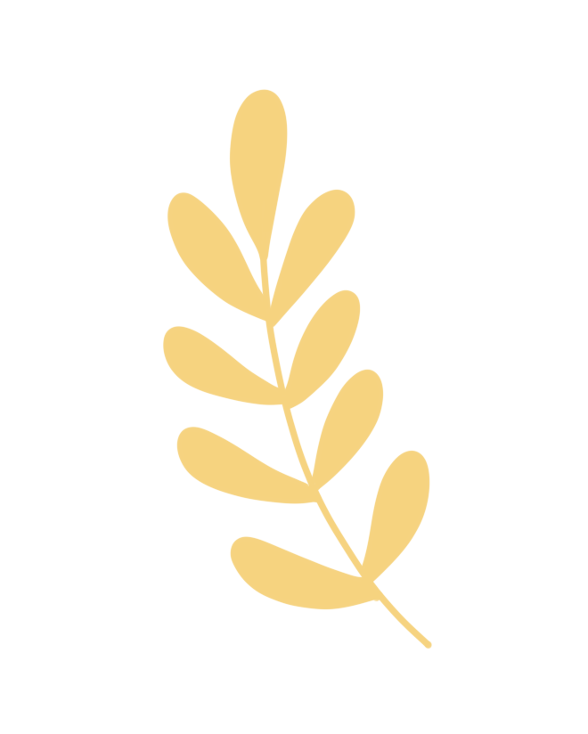 52fdf8b243646b2e66c821048d65a916.png
