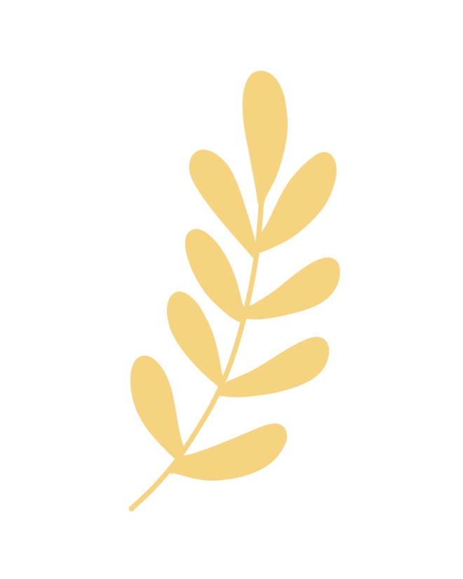 9ec3465b6597a26a37a2e8d1b0be58b9.png