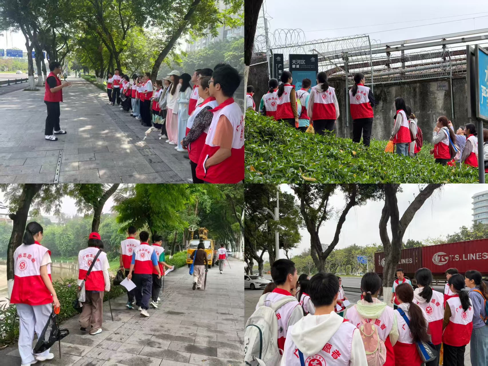 微信图片_20260623094543_704_1318.jpg