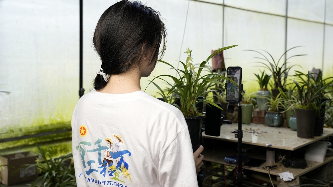 图片8.jpg