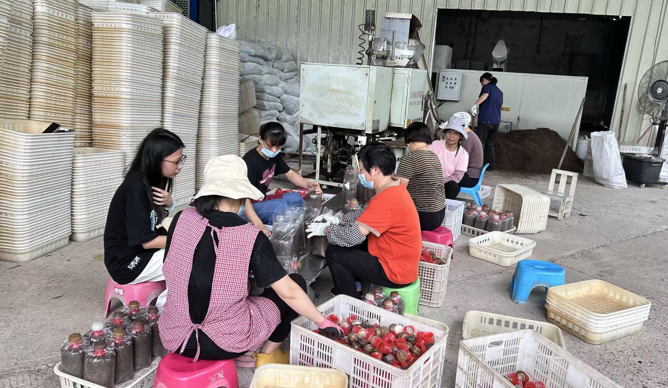  （图为实践团队与梅西镇团委副书记何志峰开展产业座谈交流）