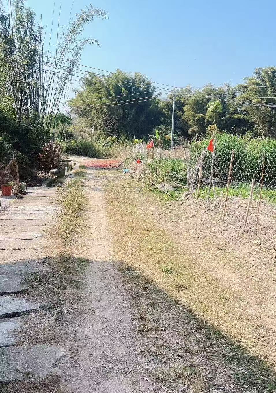 兰香村环村路修建前