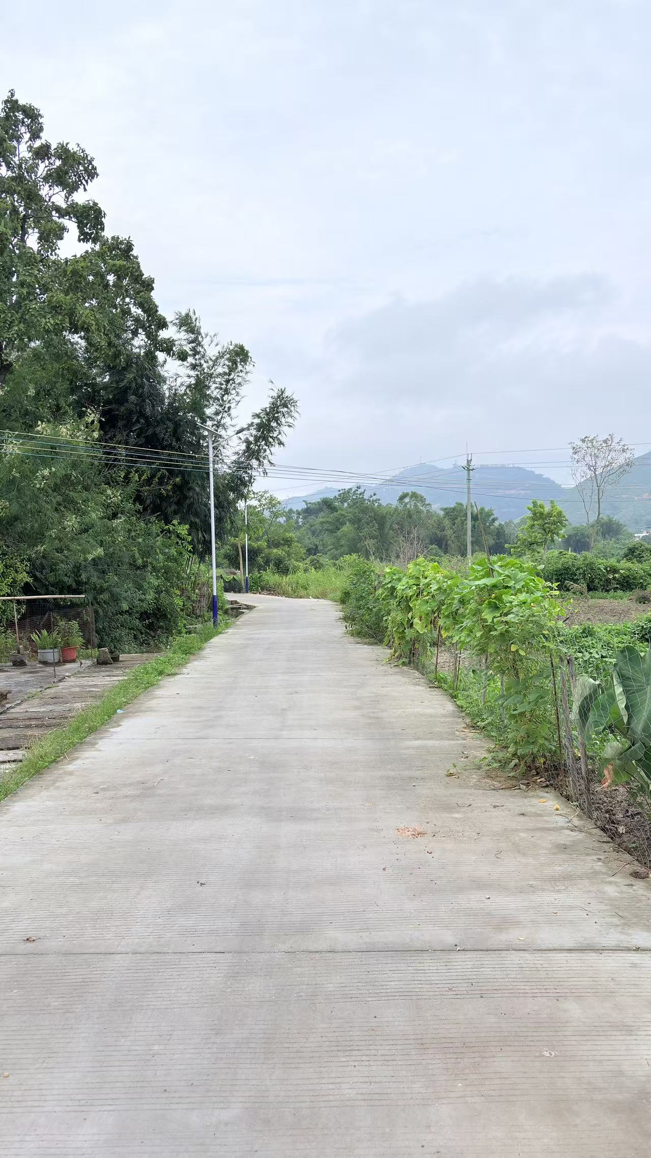 兰香村环村路修建后