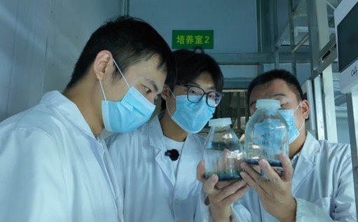 图片1.jpg