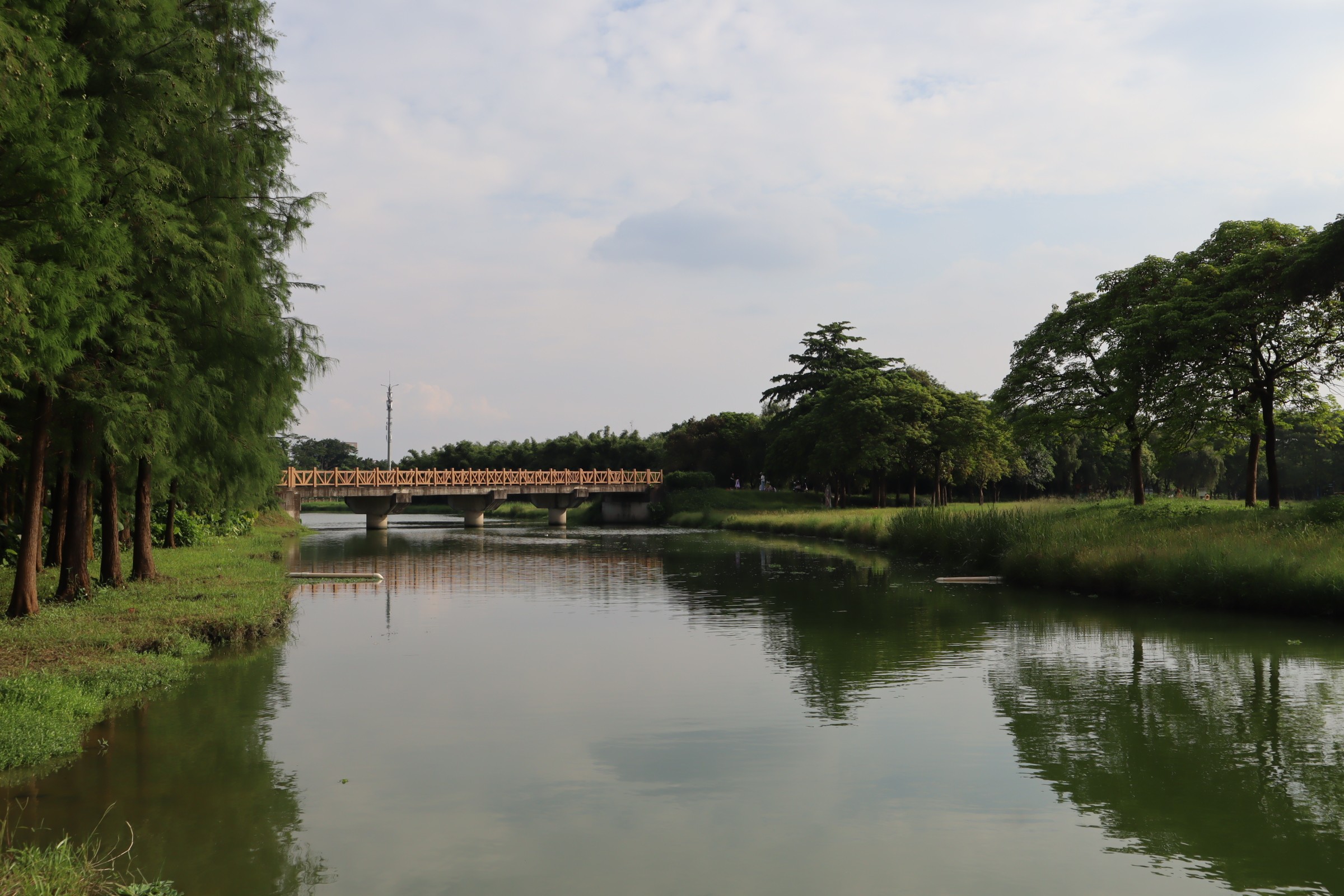 图为燕岭湿地部分区域风景 通讯员 张嘉倪 摄.jpg