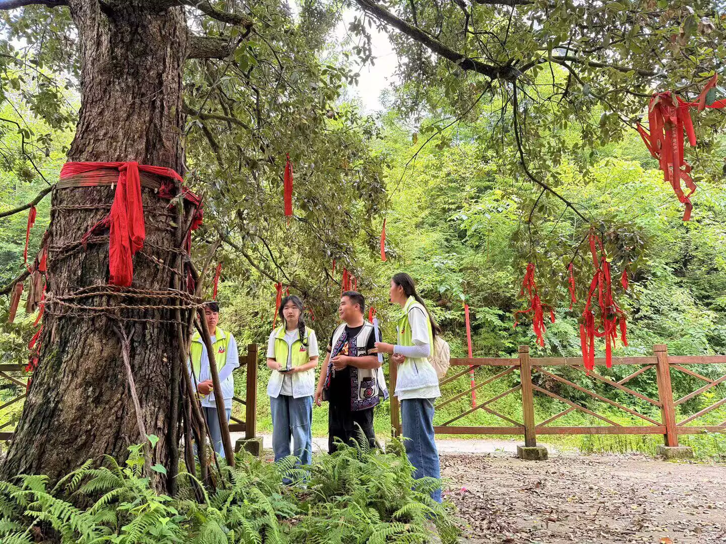 图为队员在海坪村山神树下聆听村民讲解神树祭祀与山林保护传统习俗。石森博供图 ...